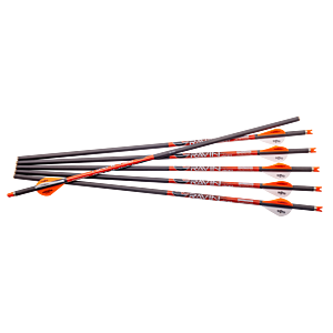Ravin .003 Arrows, 400 Gr, 6 Pack